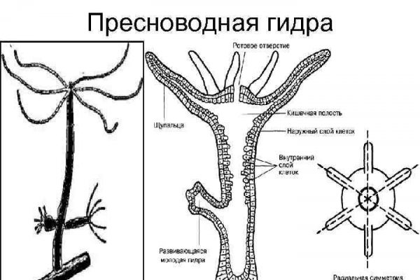 Ссылка мегу браузер