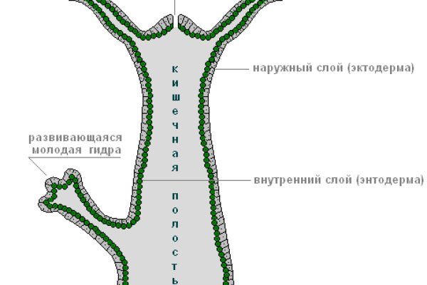 Кракен ссылка vk2 top