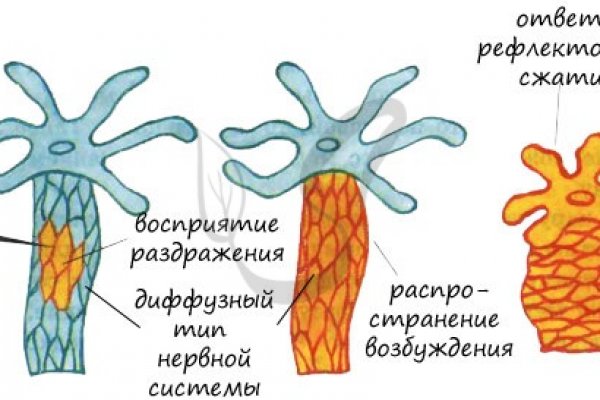 Не работает блэкспрут